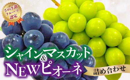 [ふるさと納税][さぬき讃フルーツ認定] 締め切り間近 シャインマスカット&NEWピオーネ詰め合わせ シャインマスカット 大粒 贈答用 ギフト お取り寄せ 国産 旬 新鮮 産地直送 高級 ぶどう 葡萄 ブドウ 皮ごと 種なし たねなし 詰め合わせ 詰合せ 詰合わせ