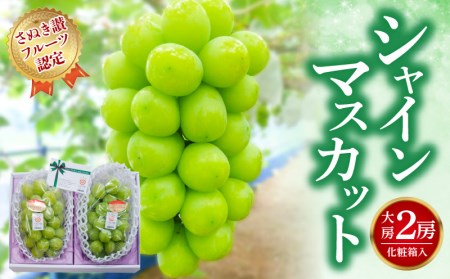 [ふるさと納税] 締め切り間近 [さぬき讃フルーツ認定]シャインマスカット 大房2房(化粧箱入り)シャインマスカット 大粒 贈答用 ギフト お取り寄せ 国産 旬 新鮮 産地直送 高級 ぶどう 葡萄 ブドウ 皮ごと 種なし たねなし 詰め合わせ 詰合せ 詰合わせ 秋 旬