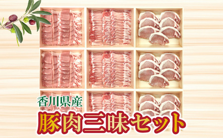 [ふるさと納税]香川県産 豚肉三昧セット6.3kg 豚肉 ロース ステーキ 焼肉 生姜焼き しゃぶしゃぶ 冷凍 秋 旬
