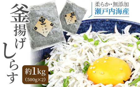 漁師直送!釜揚げしらすちりめん 約1kg(500g×2)_M70-0001 しらす シラス ちりめん 釜揚しらす 釜揚げしらす 釜揚シラス 釜揚げシラス 釜揚げシラス 