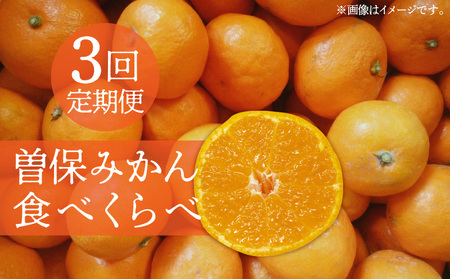 曽保みかん食べくらべ(3回定期便)フルーツ ふるーつ 果物 くだもの 三豊市[配送不可地域:北海道・沖縄県・離島]_M72-0009 [国産みかん 温州みかん みかん 露地みかん 小玉みかん ミカン 蜜柑 甘いみかん おすすめみかん]