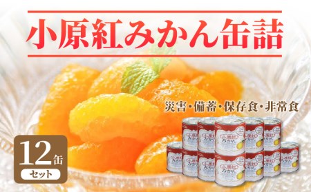 小原紅みかん缶詰 12缶セット (災害・備蓄・保存食・非常食)