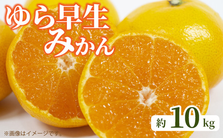[ふるさと納税][先行予約] ゆら早生みかん 約10kg