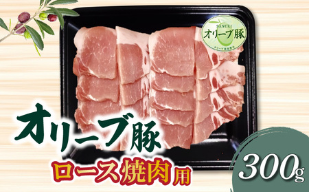 香川県産 オリーブ豚 ロース 焼肉用 300g_M04-0108 オリーブ豚 ロース 豚ロース 焼肉 焼き肉 やきにく 豚肉 肉 豚 国産 冷凍