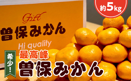 希少!最高峰曽保みかん(約5kg)フルーツ ふるーつ 果物 くだもの 三豊市[配送不可地域:北海道・沖縄県・離島]