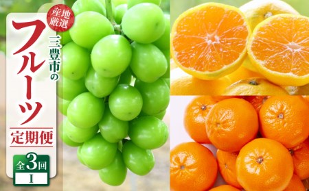 [ふるさと納税][配送不可地域:北海道・沖縄県・離島]定期便 3回 フルーツ シャインマスカット 1房 ゆら早生みかん 果汁たっぷり 小原紅早生みかん 果物 甘くて濃い 濃厚 オリジナル 旬の季節にお届け 香川県 三豊市 お取り寄せ 送料無料 秋 旬