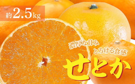 [ふるさと納税] [配送不可地域:北海道・沖縄県・離島][先行予約]濃厚な甘み とろけるような 食感の「せとか」 約2.5kg 1箱 9〜14個 特産品 厳選 みかん 柑橘 フルーツ王国 逸品 香川県 三豊市 常温配送 むきやすい なめらか お取り寄せグルメ 秋 旬