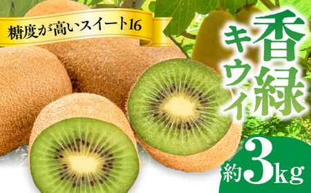 yӂ邳Ɣ[Łz t[c fU[g ʕ ʎ ZΐF ʂ]t[c  LEC XC[g16 3kg GhO[ ʓ yY Mtg 쌧 OLs  