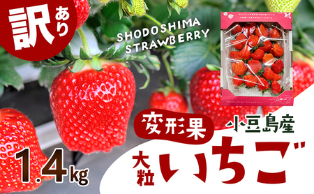 [配送エリア限定商品][訳あり・大粒]小豆島産 変形果いちご 1.4kg