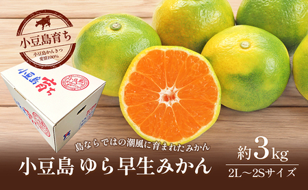 [ 小豆島 ]小豆島 ゆら早生みかん 約3kg 柑橘 みかん ミカン 果物 フルーツ ゆら早生 ジューシー くだもの 国産 香川 香川県 土庄 土庄町