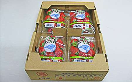 y  ẑij4pbN ʕ  C`S