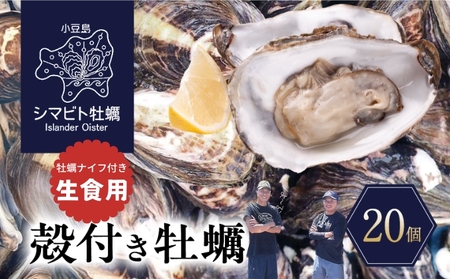 [ふるなびWEEK対象][小豆島]小豆島産 シマビト牡蠣 生食用殻付き牡蠣 20個 2026年1月より随時発送 牡蠣 カキ 生牡蠣 生食用 殻付き 香川県 小豆島