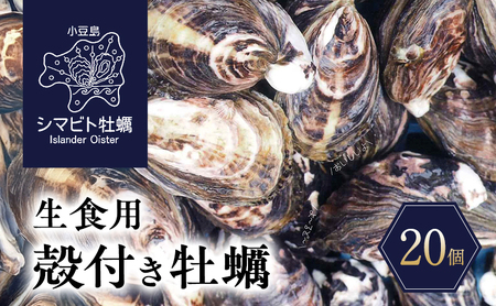 y  zY V}rgy@Hpkty@20@y JL y Hp kt V}rg 쌧