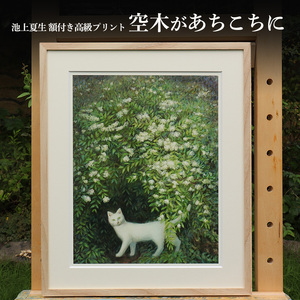池上夏生 額付き高級プリント "空木があちこちに"