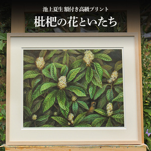 池上夏生 額付き高級プリント ”枇杷の花といたち”