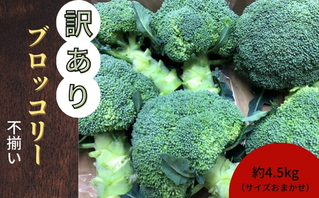 訳ありブロッコリー 約4.5kg(サイズおまかせ)