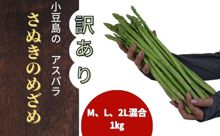 (訳アリ)小豆島産アスパラガス「さぬきのめざめ」M、L、2L混合1kg