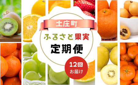 [ 小豆島 ][12回お届け]土庄町 ふるさと果実 定期便 12回