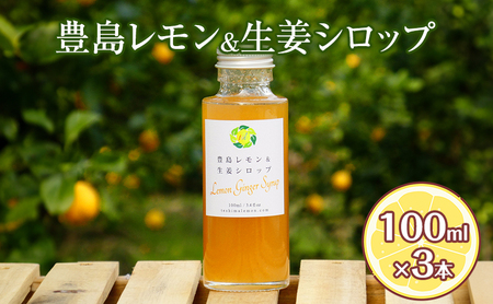 豊島レモン&生姜シロップ 100ml×3本 果物類 柑橘類 檸檬 シロップ