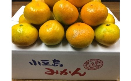 [ 小豆島 ]小豆島 ゆら早生みかん 約5kg みかん 蜜柑 ミカン ゆら早生 フルーツ 果物 くだもの 国産 香川 香川県 土庄 土庄町
