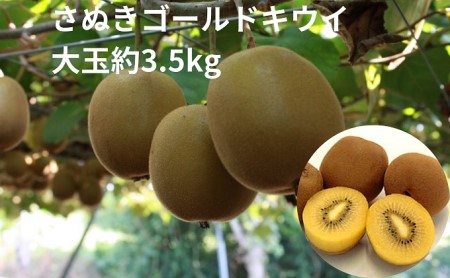さぬきゴールドキウイ 大玉約3.5kg 果物詰合せ フルーツ