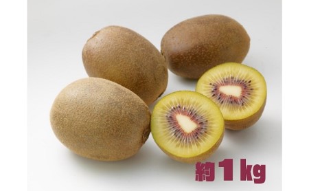 [ 小豆島 ] さぬきエンジェル スイートキウイ 約1kg 化粧箱 フルーツ 果物 キウイ キウイフルーツ さぬき くだもの 国産 香川 香川県 土庄 土庄町