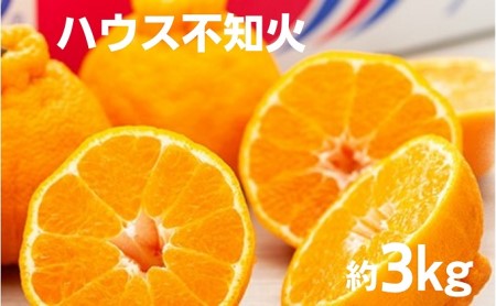 ハウス 不知火 約3kg 化粧箱