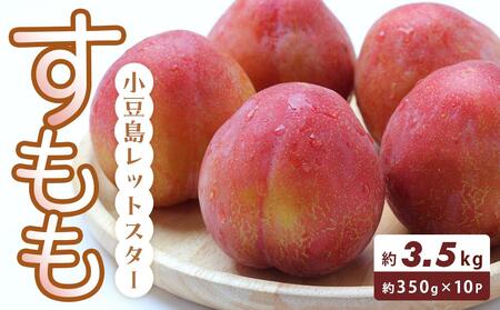 ���������b�g�X�^�[ (������) 350g×10�p�b�N