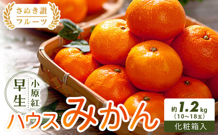 �y���ʂ��]�t���[�c�z�����g�����n�E�X�݂��� ���ϔ����� ��1.2kg (10�`18�ʓ���)