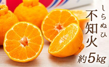 �s�m�� (����ʂ�) ��5kg�i12�`28�ʓ���j