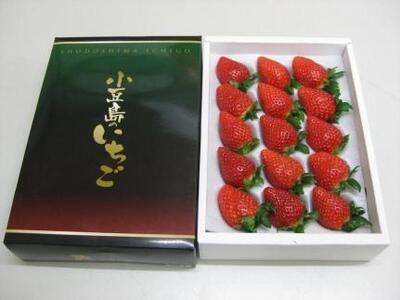 t[cN6