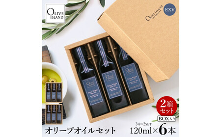 GLXgo[WiEXVjI[uIC3{Mtg2Zbgi120ml×3{×2j