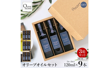 GLXgo[WiEXVjI[uIC3{Mtg3Zbgi120ml×3{×3j