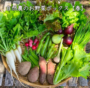 [自然農]季節のお野菜セット(約10品)