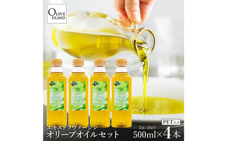 GLXgo[WI[uIC 500ml×4{