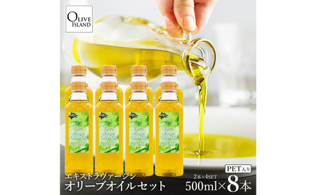 GLXgo[WI[uIC 500ml×8{