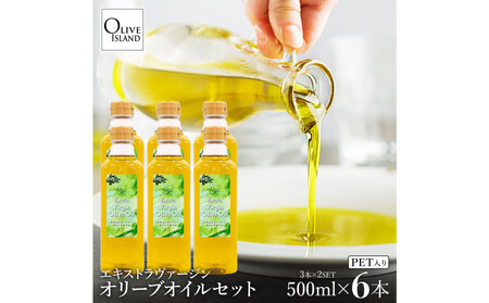 GLXgo[WI[uIC 500ml×6{