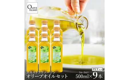 GLXgo[WI[uIC 500ml×9{