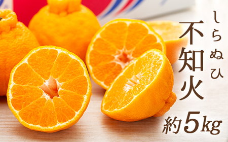 不知火 (しらぬひ) 約5kg