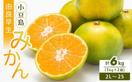 小豆島 由良早生みかん 3kg×2箱