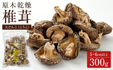 原木乾燥椎茸大どんこ（こうこ）5~6cm以上　300g !