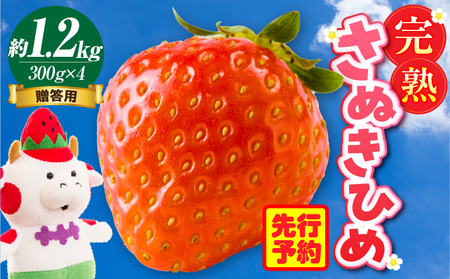 p nʂP 1.2kg |   ʂP ʂЂ 쌧IWi  Â n t[c ʕ { 쌧 Oؒ |_mk035-004