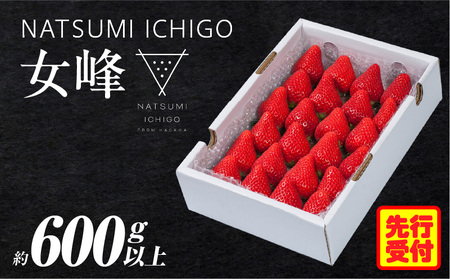 NATSUMI ICHIGO 女峰 約600g以上(2026年1月〜6月配送)