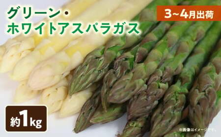 グリーン・ホワイトアスパラガス約1kg(3〜4月出荷)|アスパラ アスパラガス ホワイトアスパラガス 新鮮 春野菜 直送 グリーンアスパラガス|_mk002-002