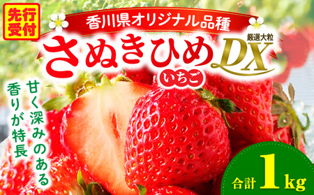 yNzOؒn悢uʂЂ߁v1kgDXpbN | XC[c  Xgx[ C`S ʂP ʂЂ  Â 嗱 ① t[c { ʕ 쌧 fU[g ʕ 