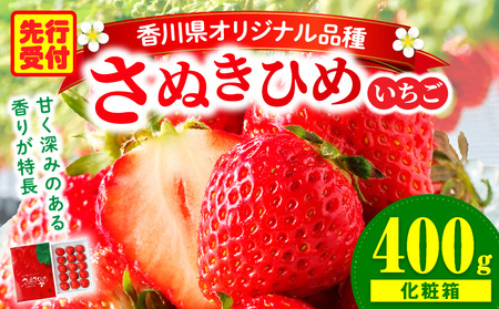[年内発送]三木町地域いちご部会『さぬきひめ』 400g(化粧箱入)