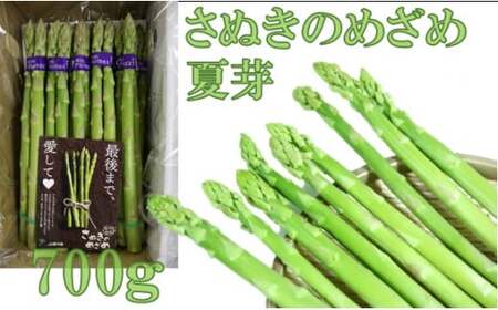 香川オリジナルアスパラガス「さぬきのめざめ」(セミロング)夏芽 700g_mk006-028