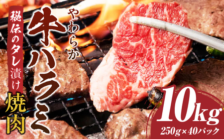 炩n~ē@`̃^Ђ10kg(250g×40P) |  ē ^ Ђ ` _炩 t ₫ɂ n~   ؂ Ⓚ BBQ o[xL[ 쌧 Oؒ Y  |_mk1