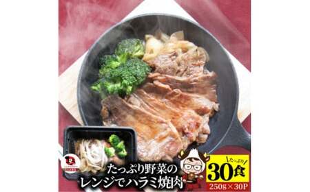 WŊȒPn~ē@250g×30HZbg@(d7.5kg)ؓ|  ē  ubR[ ʂ˂ _炩 t ₫ɂ n~ Ⓚ 쌧 Oؒ Y  |_mk146-240