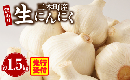 三木町産訳あり生にんにく 約1.5kg | にんにく 生にんにく ニンニク 訳あり 訳あり返礼品 訳あり品 野菜 新鮮 生野菜 香り豊か 栄養価が高い 肉厚 生 料理 スタミナ料理 家庭用 自宅用 香川県 三木町 |_mk006-044
